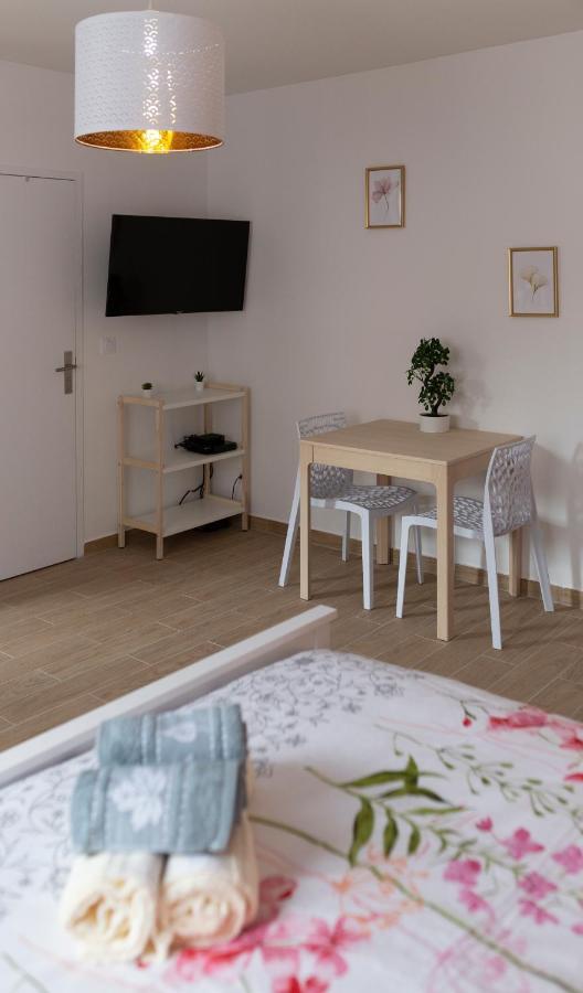 Loc Trotteur Le Pivoine Studio Grand Confort, Gare Sncf De Lourdes Exteriör bild