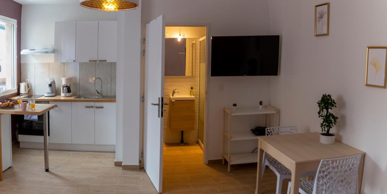 Loc Trotteur Le Pivoine Studio Grand Confort, Gare Sncf De Lourdes Exteriör bild